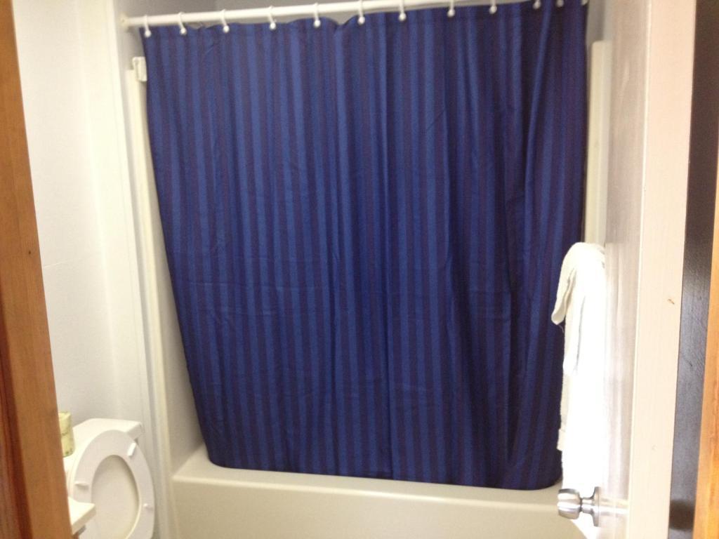 King Room (Pet-Friendly)