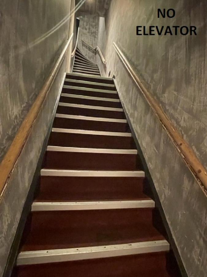 Bed in 6-Bed Mixed Dormitory Room,1320378124:JPEG