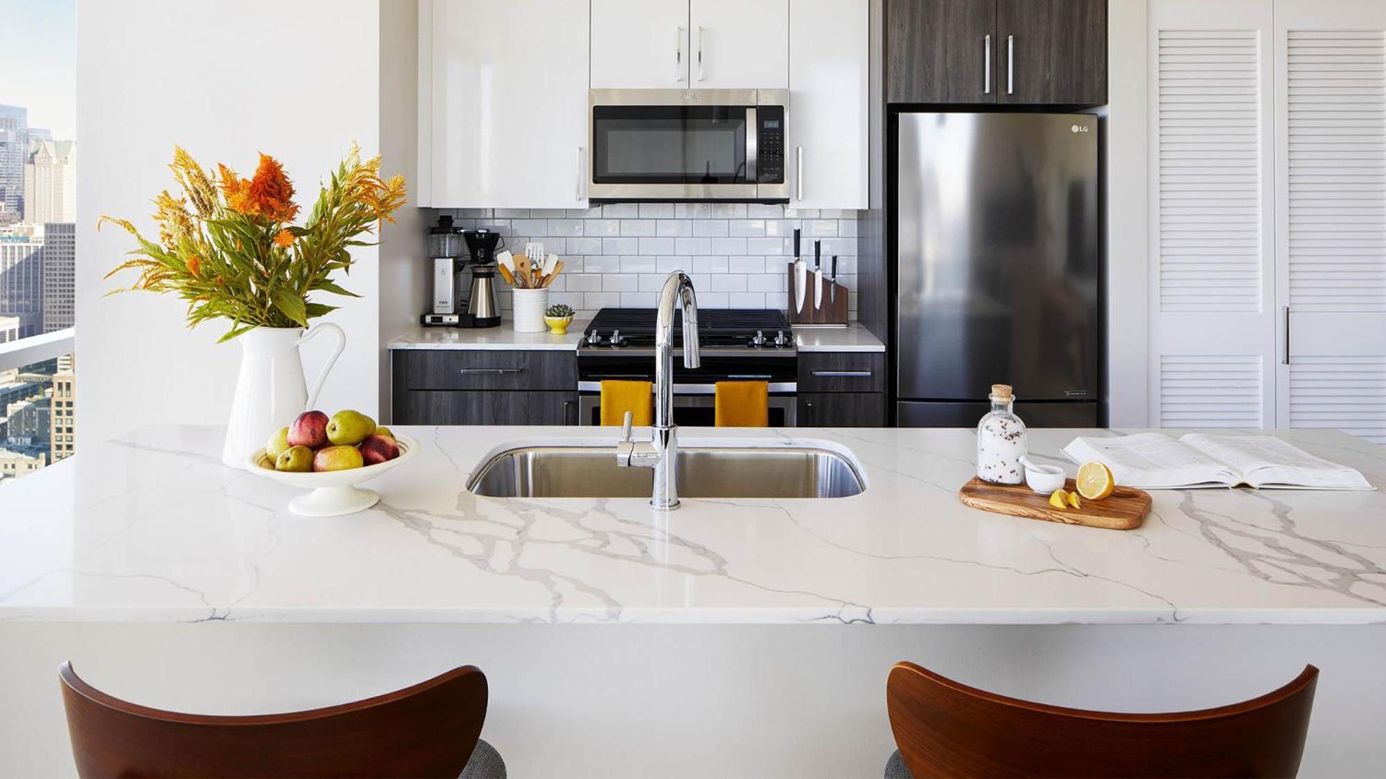 1 Bedroom Premium Apt in South Loop Chicago,1699486833:JPEG