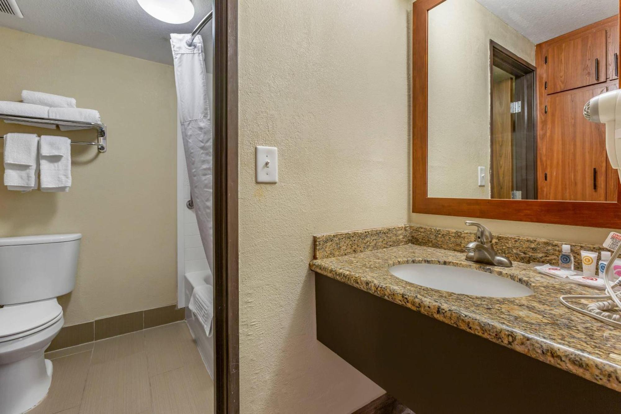 Deluxe King Room with Sitting Area and Sofa-Bed - Non-Smoking