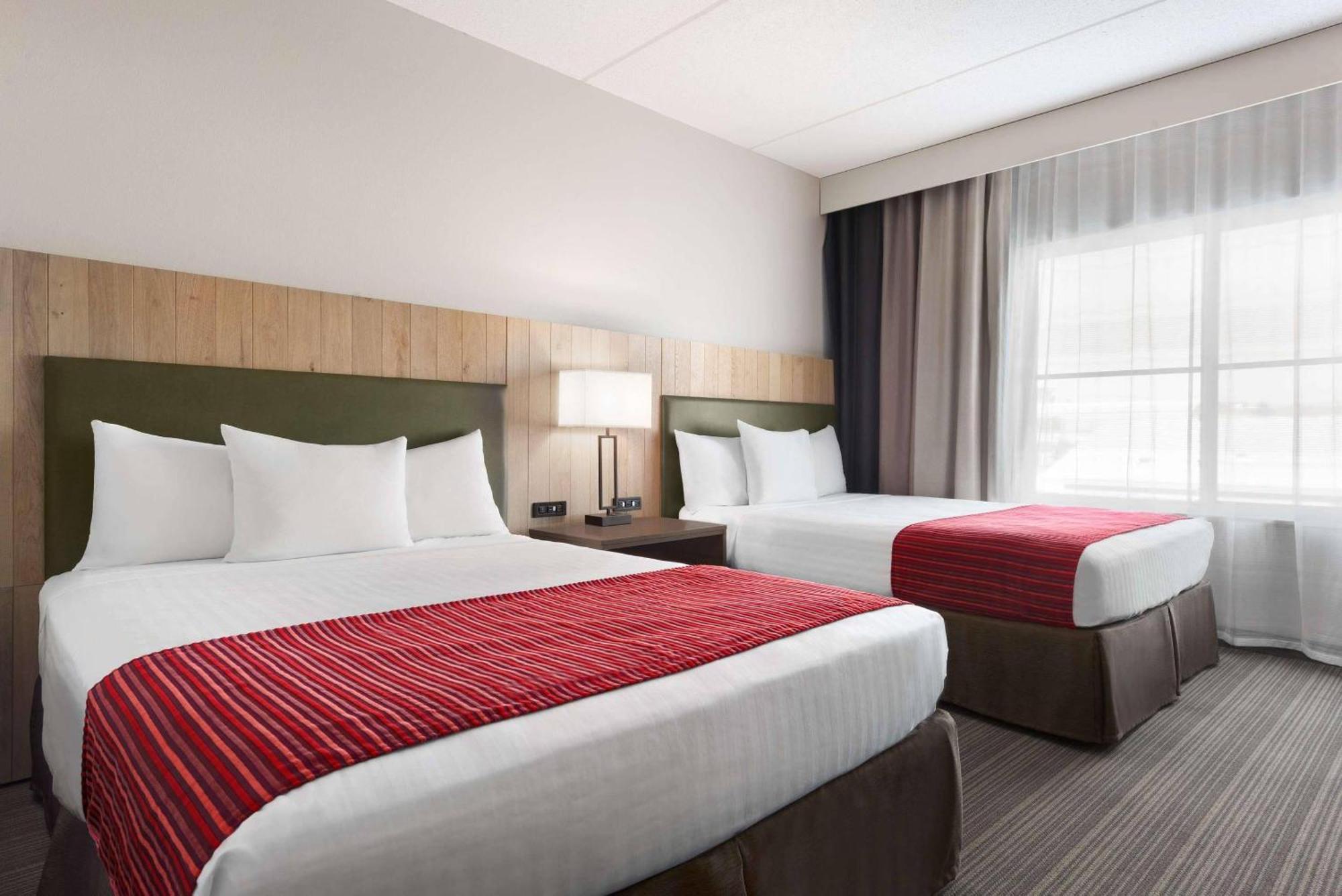 Studio Suite with Two Queen Beds - Disability Access/Non-Smoking