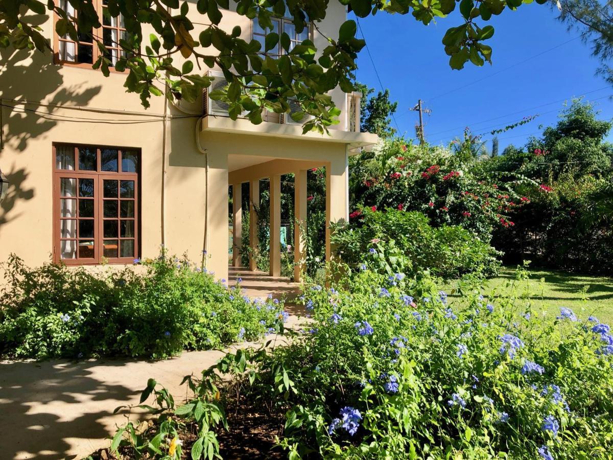 Garden View Suite