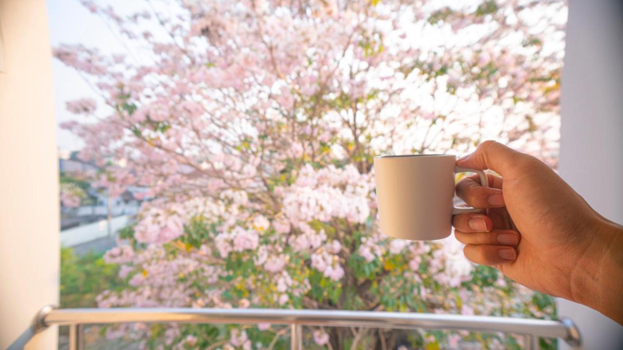 Standard Queen Room,992263408:JPEG