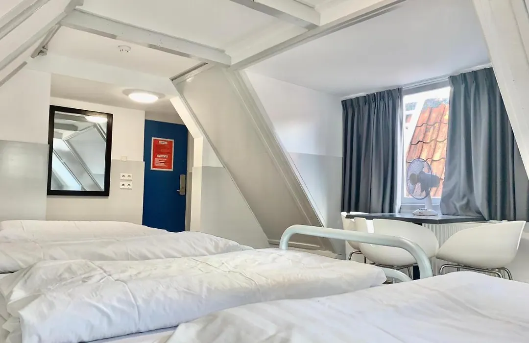 The White Tulip Hostel-1