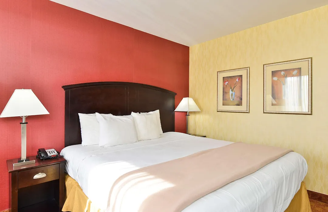 Lex View Inn At Jfk Airport-1