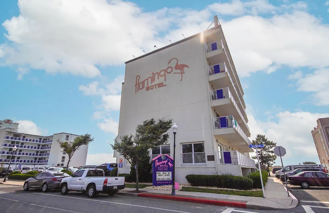 Flamingo Motel-1