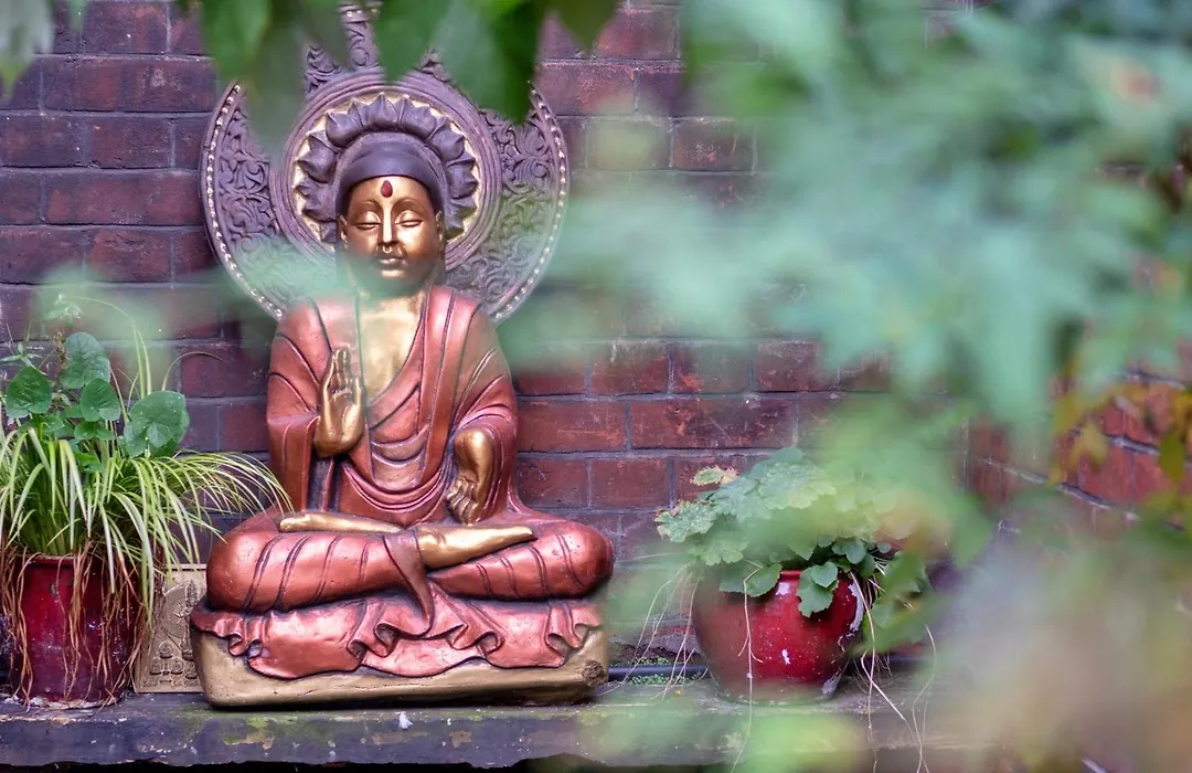 Lotus Guesthouse-1