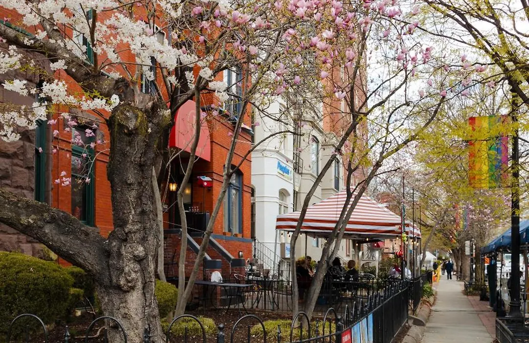 Dupont Circle Embassy Inn By Found-1