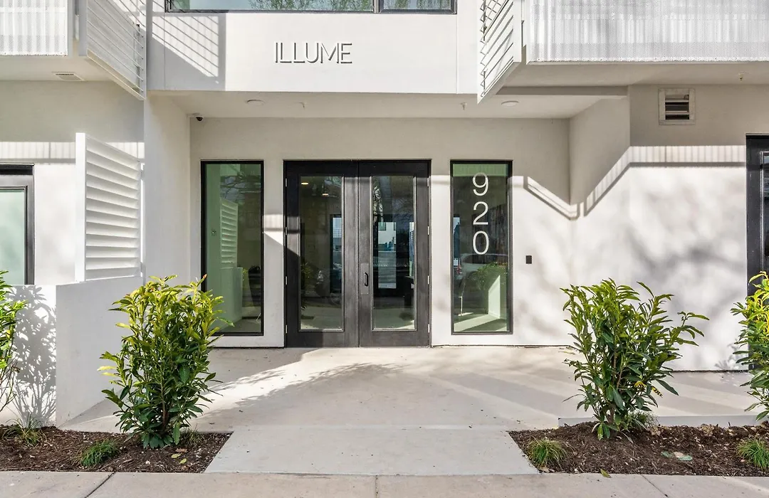 Illume 203-1
