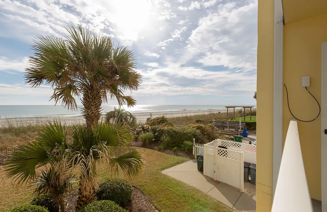 Jade Tree Cove-1