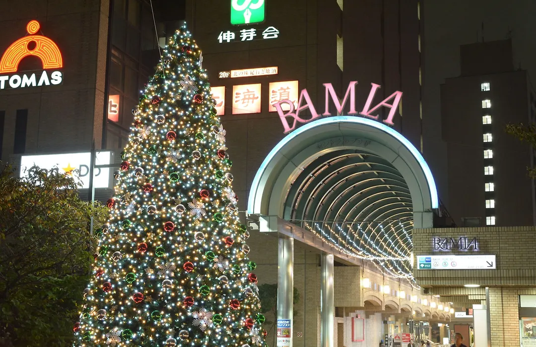 Tokyo Central Youth Hostel-1