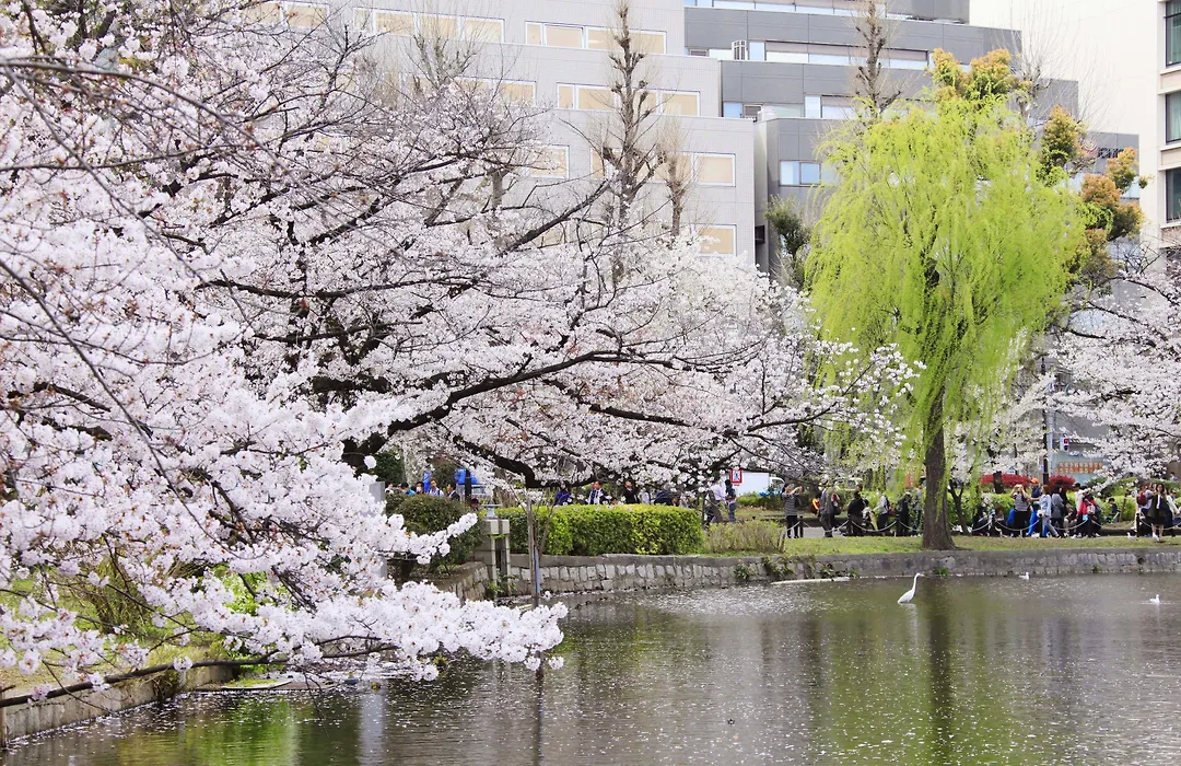Centurion Hotel&Spa Ueno Station-1