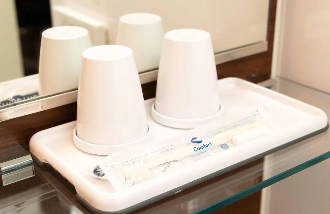 Comfort Inn Tokyo Roppongi (Adults Only)-1