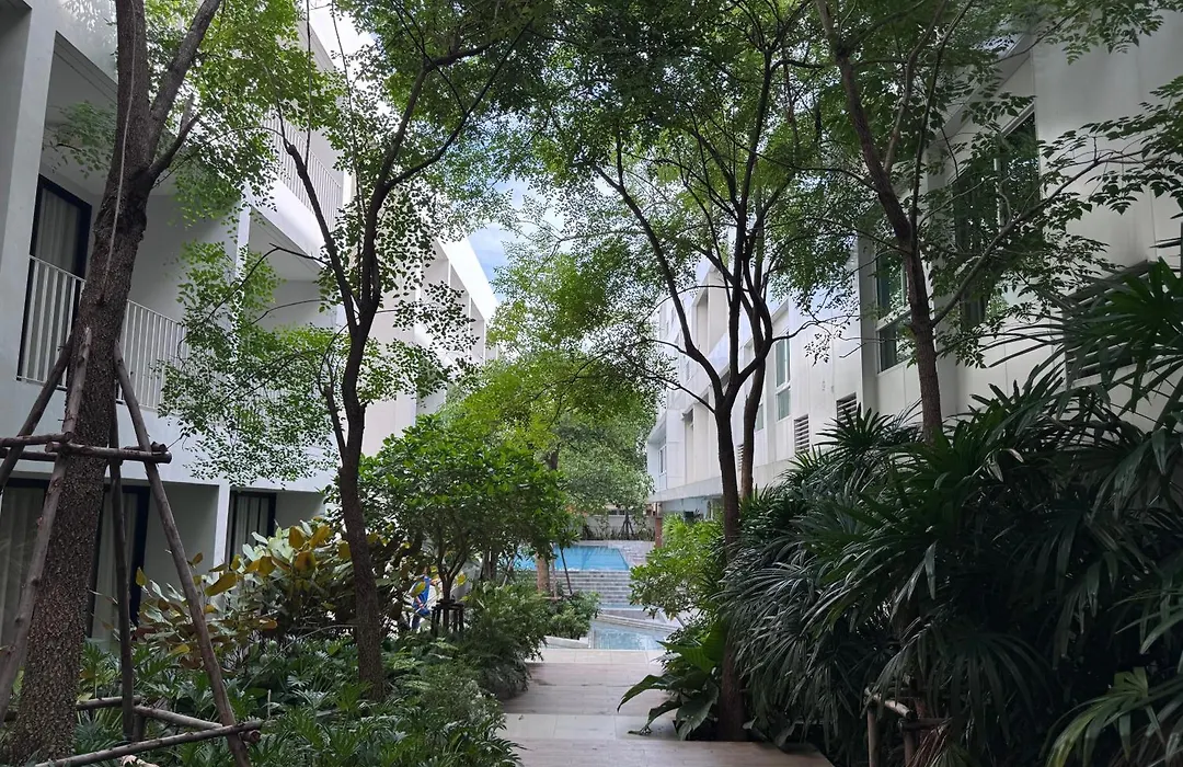 Chern Bangkok-1
