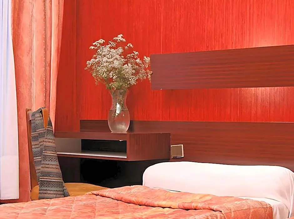 Camelia International-1