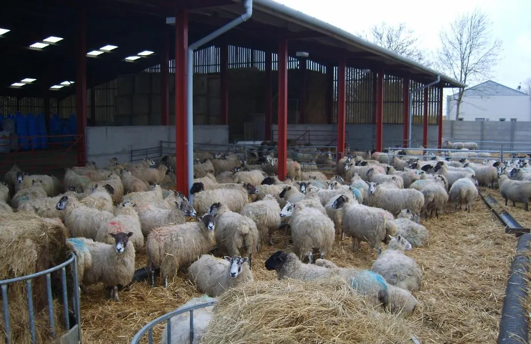 Church Farm-1
