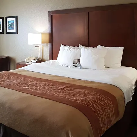 Comfort Inn I-10 West At 51St Ave-3