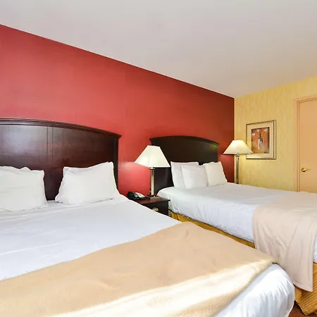 Lex View Inn At Jfk Airport-2