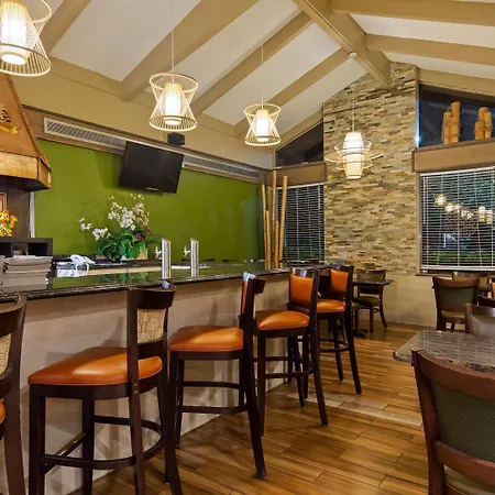 Best Western Orlando West-2