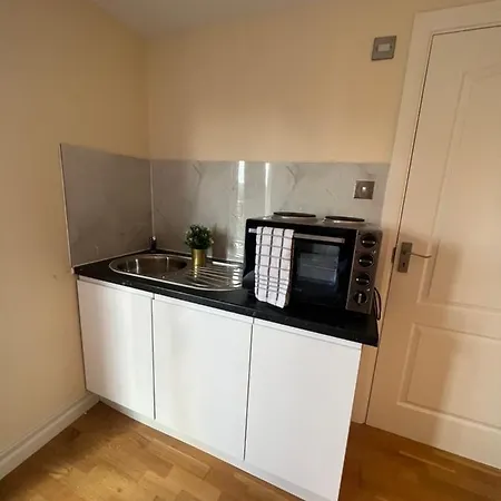 Stunning House 15 Min From Wembley Arena-3