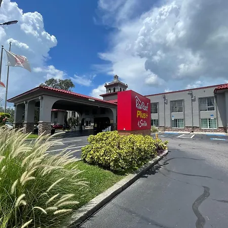 Red Roof Inn Plus & Suites Tampa - Busch Gardens-3