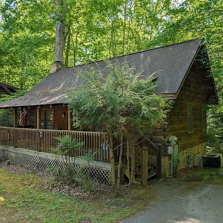 Er57 - Bear Haven - Great Location! Close To All The Action! Cabin-2