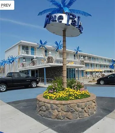 Blue Palms Resort-2