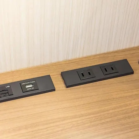Ginza Capital Hotel Moegi-3