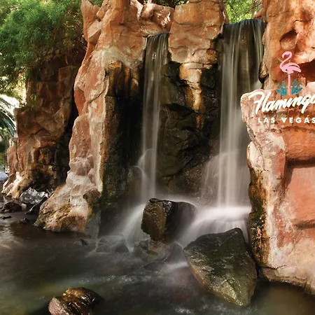 Flamingo Las Vegas Hotel & Casino-3