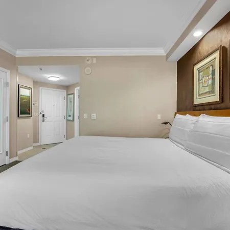 Sakura Serenity Studio-No Resort Fee-2