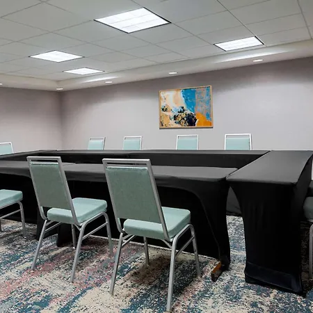 Homewood Suites By Hilton Tampa Airport - Westshore-3