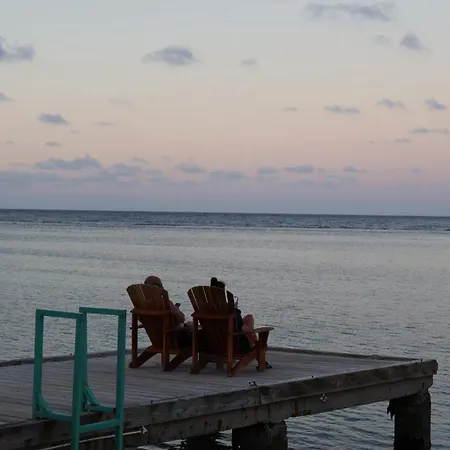 Ocean Palms-3