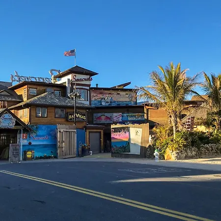Royal Palm Court B5-3
