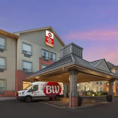 Best Western Plus Travel Hotel Toronto Airport-3