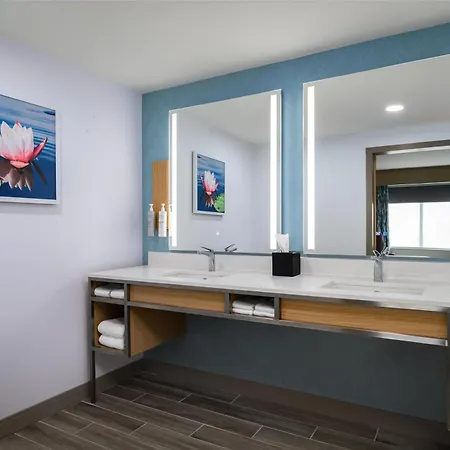 Hilton Garden Inn Millenia Near Universal Orlando Resort-3