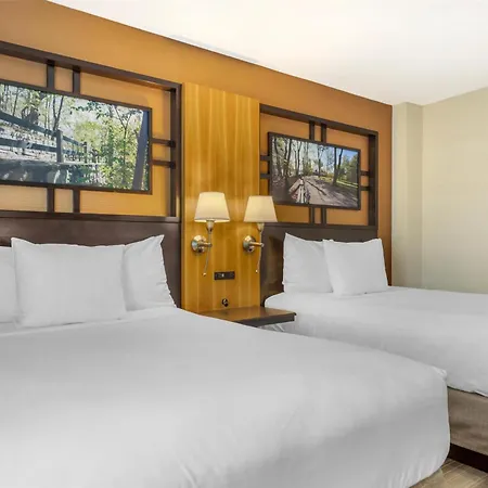 Best Western Queens Gold Coast-3