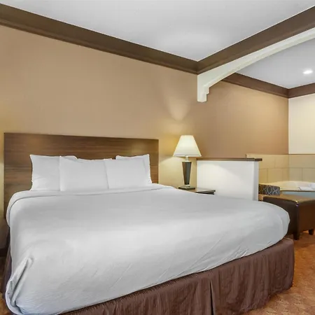Best Western Tolleson-3