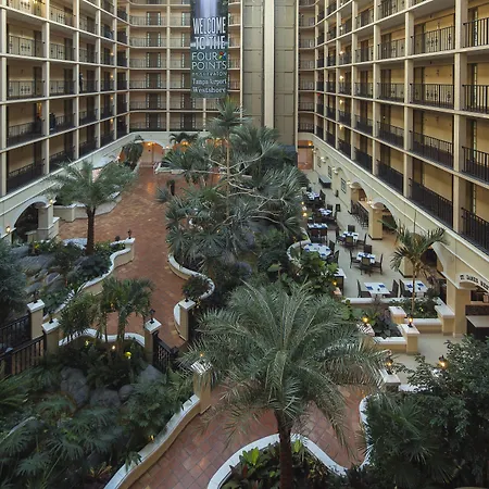 Four Points By Sheraton Suites Tampa Airport Westshore-3