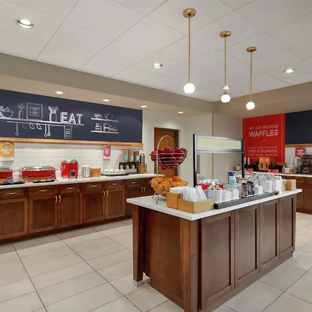 Hampton Inn & Suites By Hilton Tampa Busch Gardens Area-2