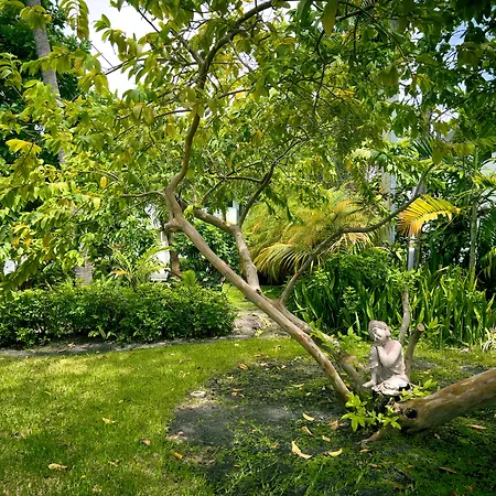 Beach Gardens-3