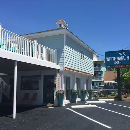 White Marlin Inn-3