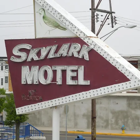 Skylark Resort Motel-3