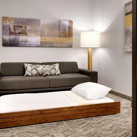 Springhill Suites By Marriott Phoenix Scottsdale-2