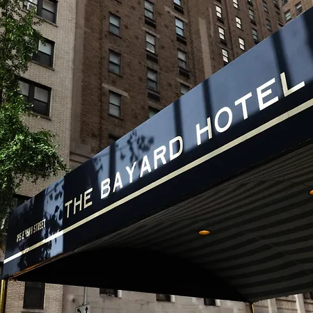 The Bayard-3