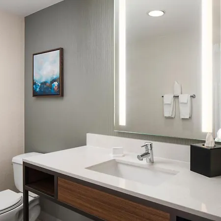Hilton Garden Inn Virginia Beach Town Center-3