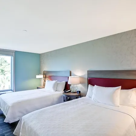 Home2 Suites By Hilton Tampa Usf Near Busch Gardens-3