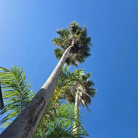 Sea Shell Palms, Ocho Rios-3