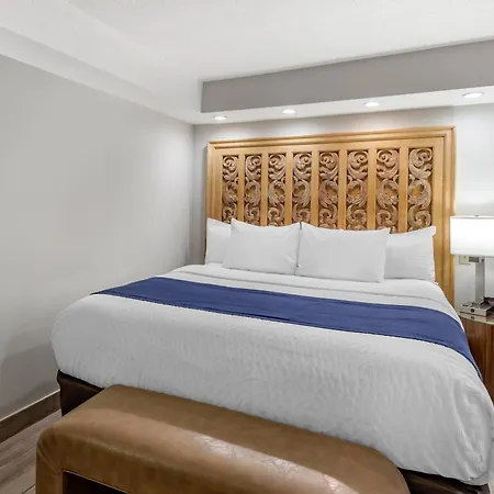 Coastal Hotel & Suites Virginia Beach - Oceanfront-3