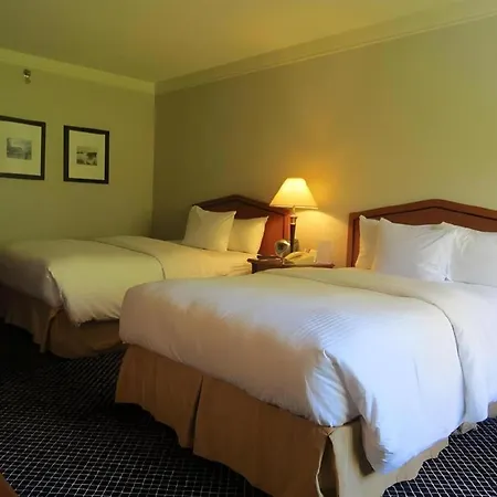 Toronto Don Valley Hotel And Suites-3