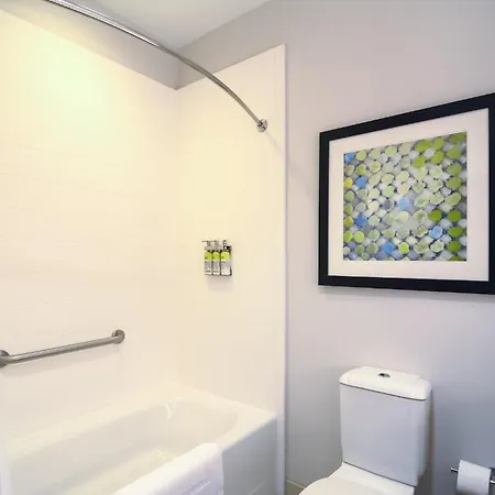 Holiday Inn Express Hotel & Suites Tampa-Usf-Busch Gardens By Ihg-3